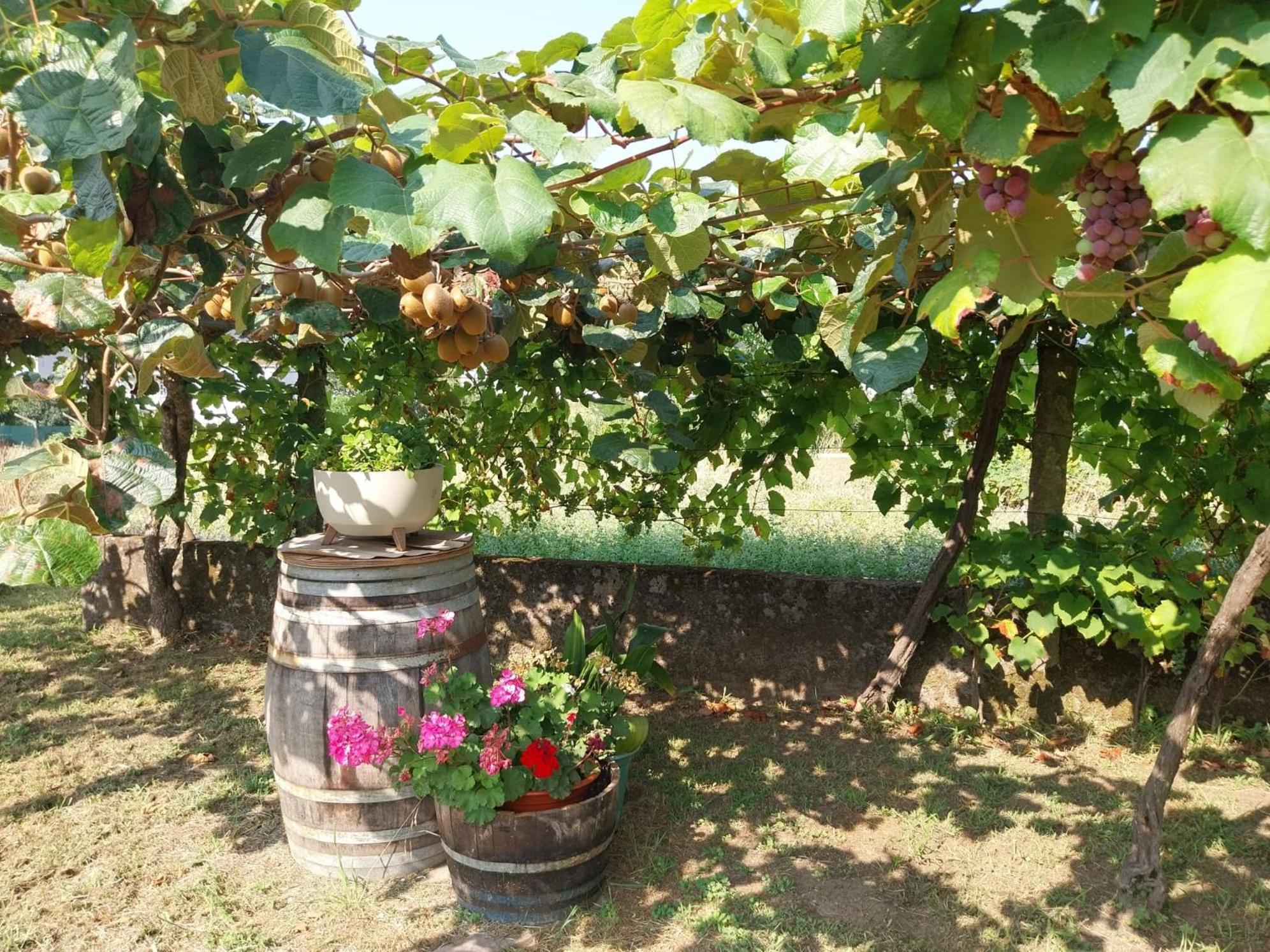O Berce Padron Casa Rural Bagian luar foto